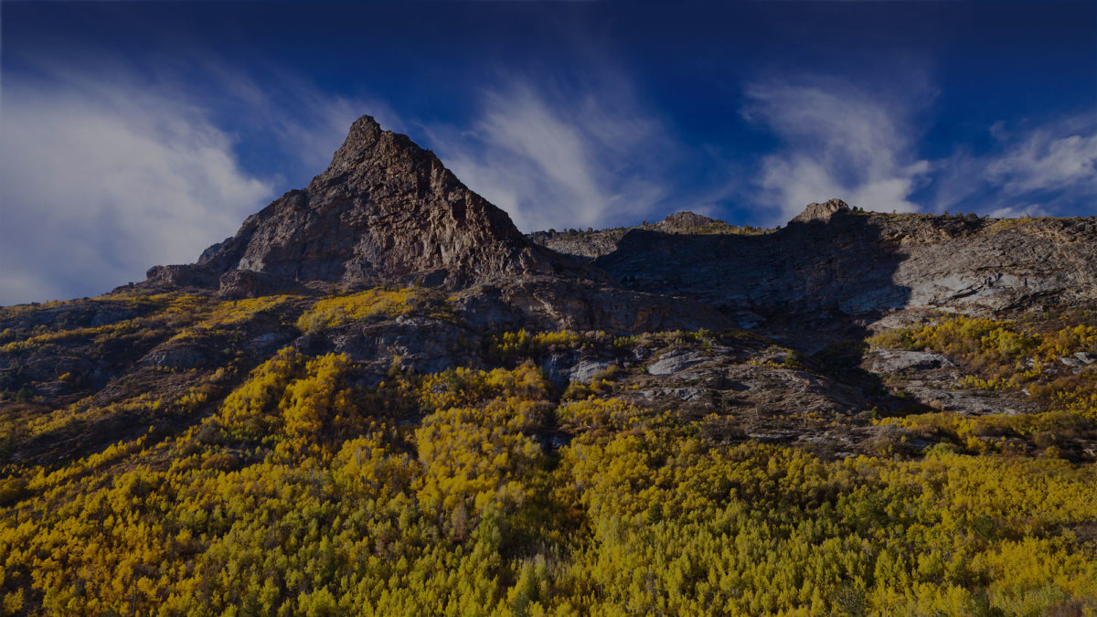 Lamoille Canyon is the largest valley in the Ruby Mountains, located in the central portion of Elko County in the northeastern section of the state of Nevada. Trees are in fall colors.