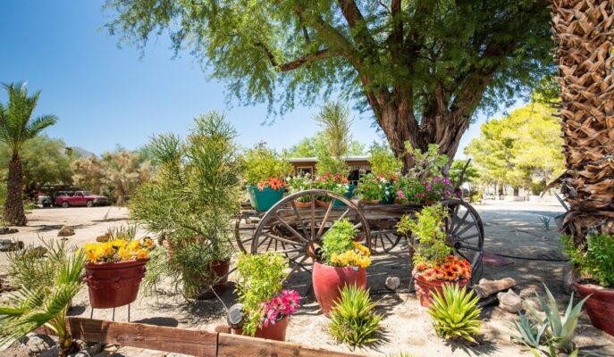 SDS Borrego_springs_1_2