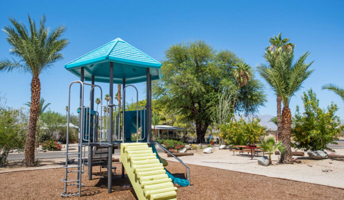 SDS Borrego_springs_1_3
