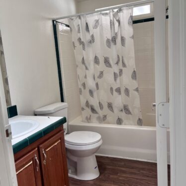 SDV Home 251 (5) SDV Home 251 (5)