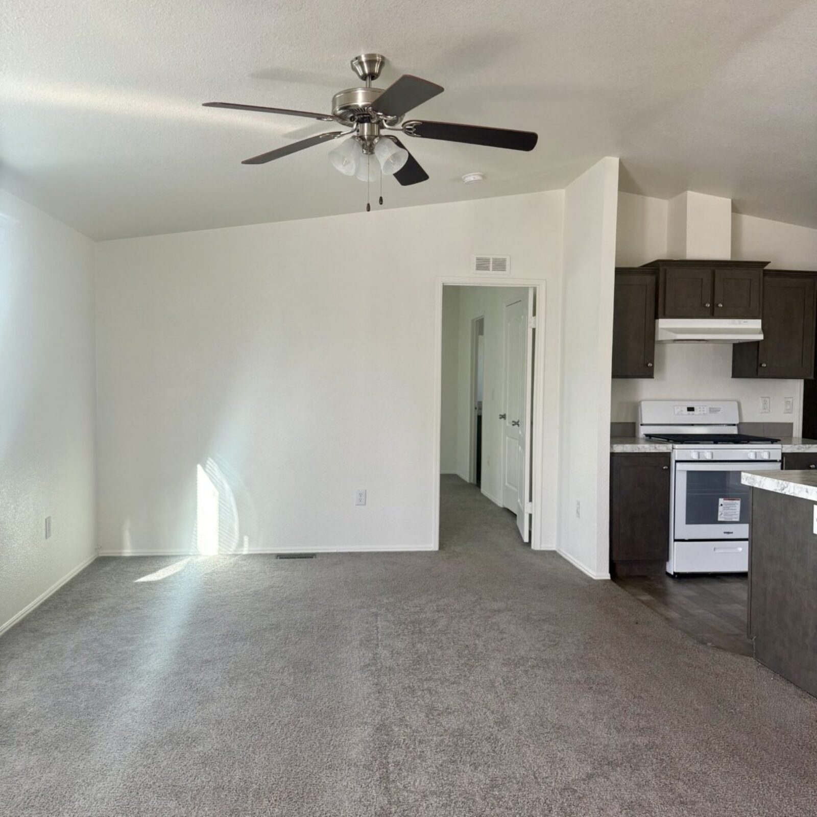 SDV 105 Living Room and Hall