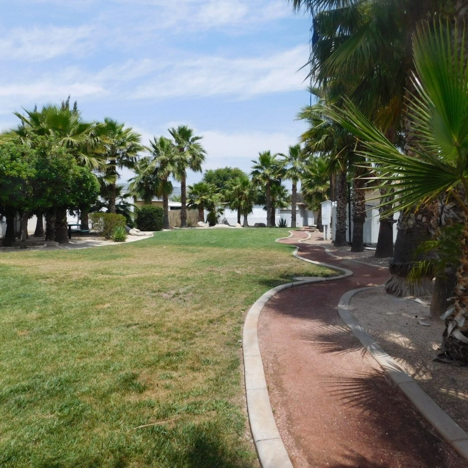 Santiago Palm Vista Pool (1)