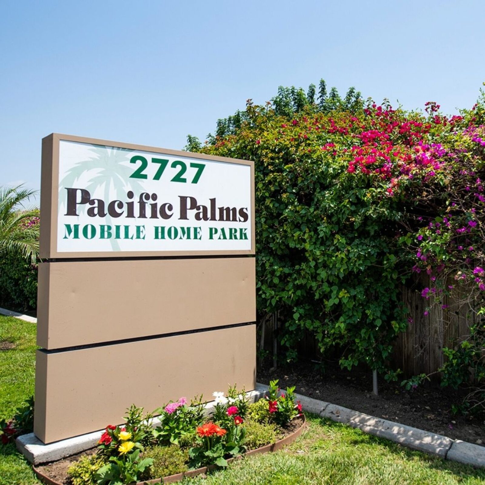 Pacific Palms